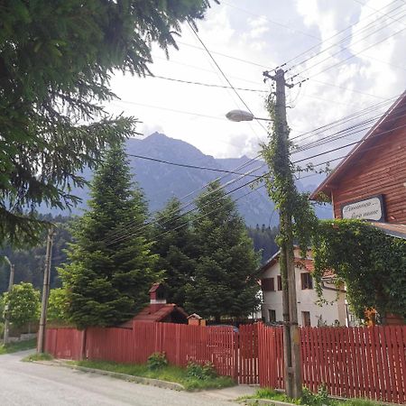 Pensiunea Fara Nume Busteni Exterior photo
