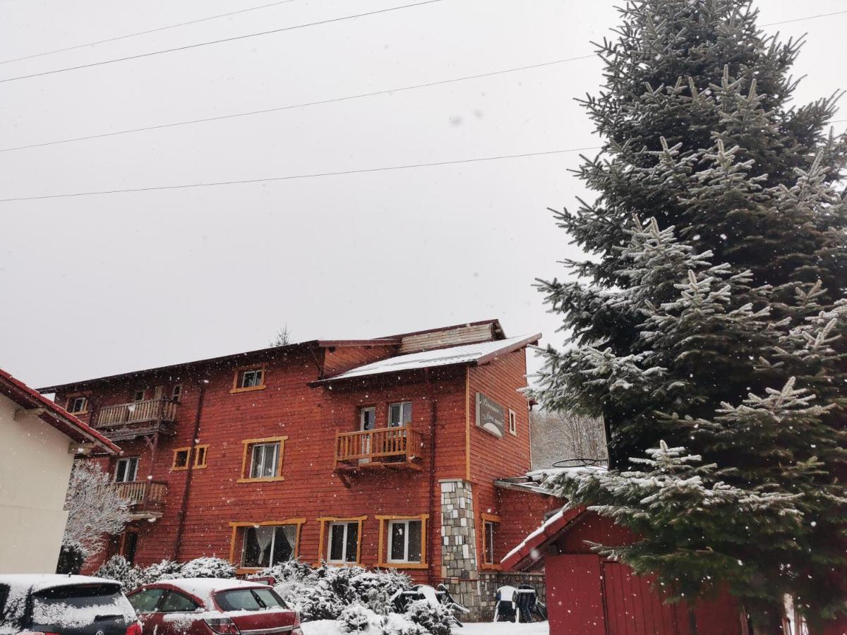 Pensiunea Fara Nume Busteni Exterior photo